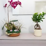 Apartmán Monolocale Sguizzette *