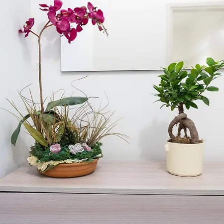 Apartamento Monolocale Sguizzette *