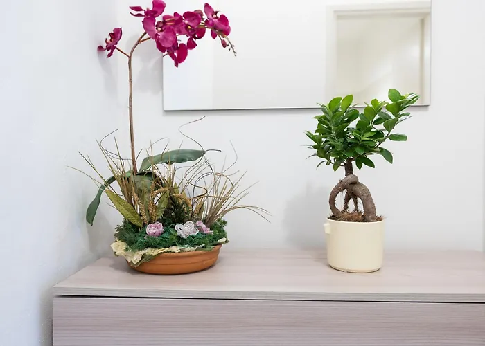 Apartamento Monolocale Sguizzette *